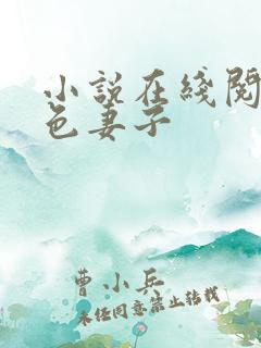 小说在线阅读绝色妻子