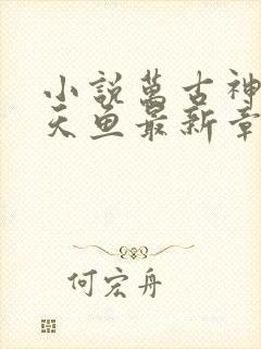小说万古神帝飞天鱼最新章节列表免费