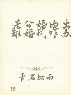 老公婚内出轨提离婚我咋办
