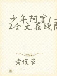 少年阿宾1一72全文在线阅读
