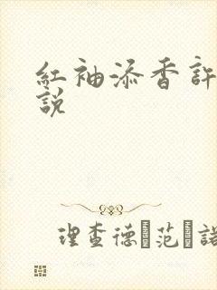 红袖添香许雷小说