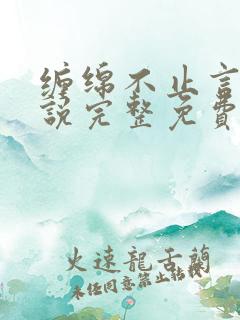 缠绵不止言情小说完整免费阅读