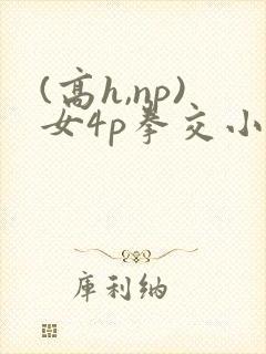 (高h,np)女4p拳交小美