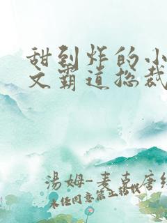 甜到炸的小说宠文霸道总裁