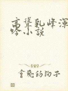 高耸乳峰浑圆呻吟小说