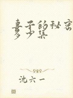 妻子的秘密一共多少集