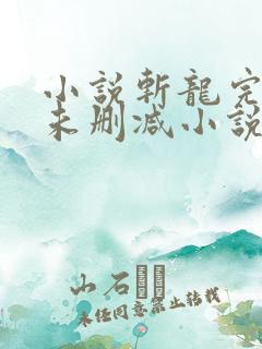 小说斩龙完整版未删减小说