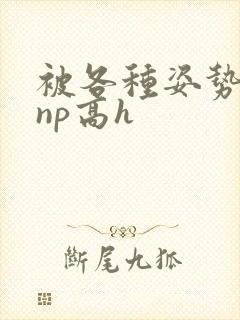 被各种姿势玩弄np高h
