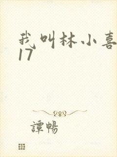 我叫林小喜今年17