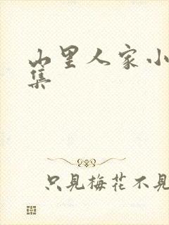 山里人家小说全集