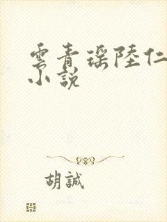 云青瑶陆仁全文小说