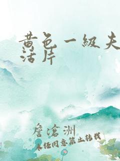 黄色一级夫妻生活片