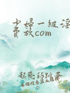 少妇一级淫片免费放com