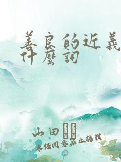 善良的近义词是什么词