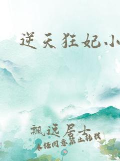 逆天狂妃小说版