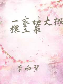 一亩地大概多少棵玉米