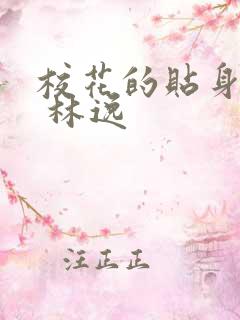 校花的贴身高手 林逸
