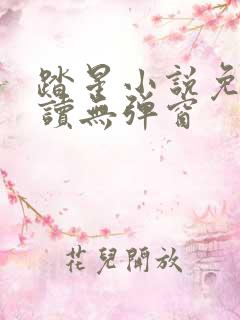 踏星小说免费阅读无弹窗