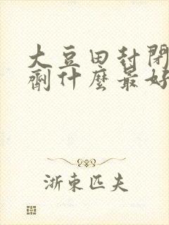 大豆田封闭除草剂什么最好