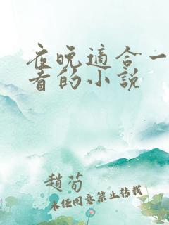 夜晚适合一个人看的小说