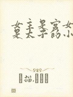 女主是宫女男主是太子的小说