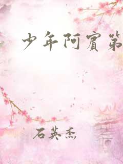 少年阿宾第六章