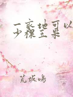 一亩地可以种多少棵玉米