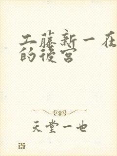 工藤新一在日本的后宫