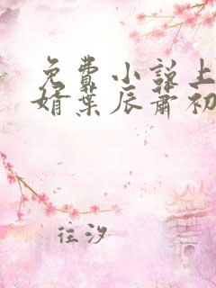 免费小说上门龙婿叶辰萧初然