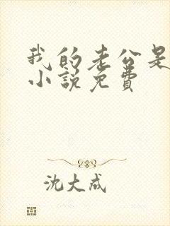 我的老公是冥王小说免费