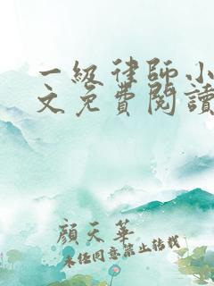 一级律师小说全文免费阅读