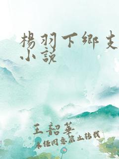 杨羽下乡支教的小说