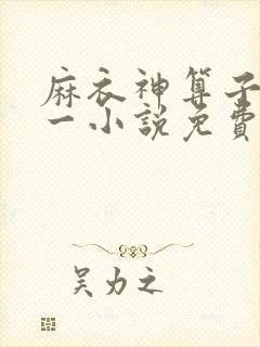 麻衣神算子李初一小说免费版