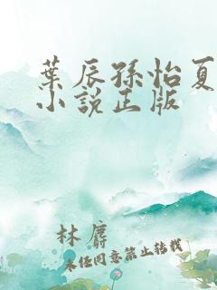 叶辰孙怡夏若雪小说正版