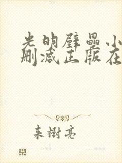 光明壁垒小说无删减正版在线阅读