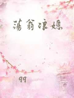 荡翁浪媳