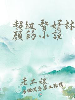 超级赘婿林阳苏颜的小说