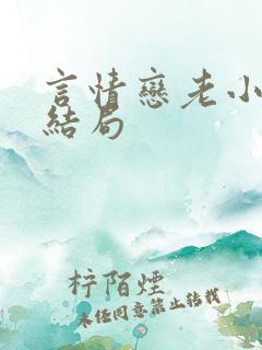 言情恋老小说大结局