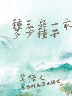 种玉米一亩地用多少种子