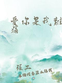 爱你是我难言的痛