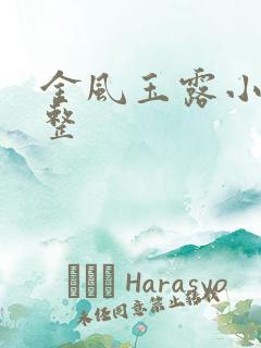 金风玉露小说完整