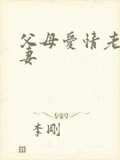 父母爱情老丁前妻