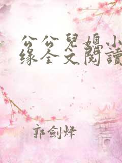公公儿媳小说孽缘全文阅读