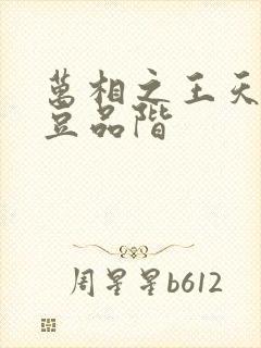 万相之王天蚕土豆品阶
