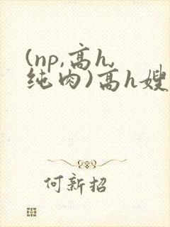 (np,高h,纯肉)高h嫂子