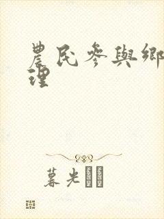 农民参与乡村治理