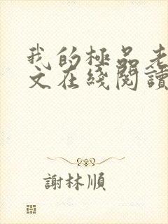 我的极品老婆全文在线阅读