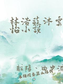林浩苏沐云李静怡小说