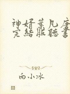 神婿叶凡唐若雪完结版听书