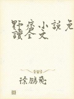 野痞小说免费阅读全文